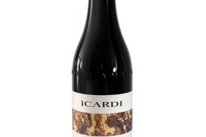Nuj Suj Barbera d'Asti